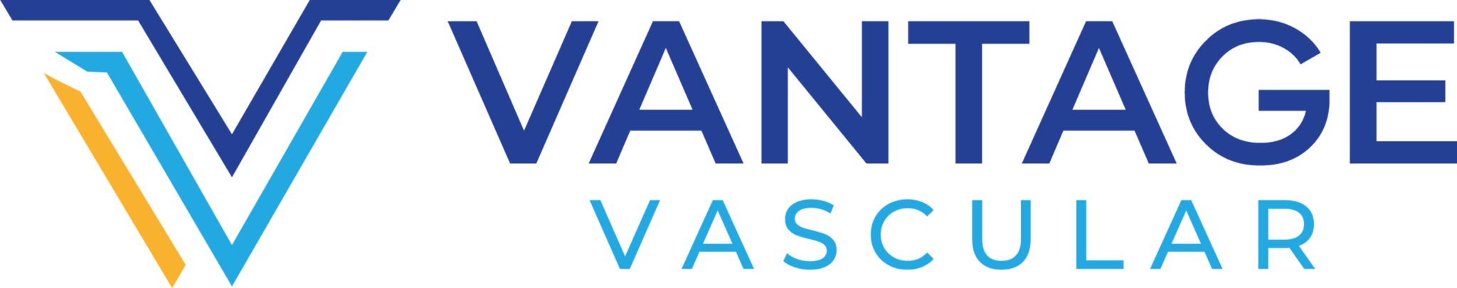 Vantage Vascular